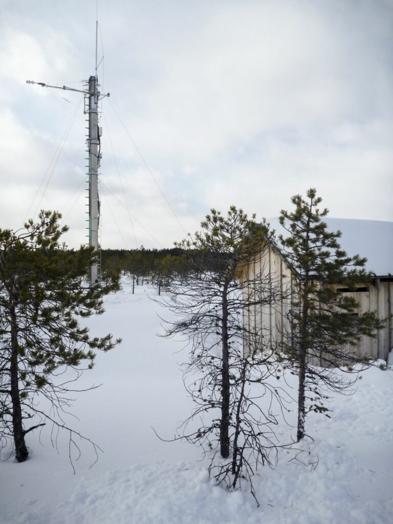 eddytower and hut in winter behind littleSwiss stone pines